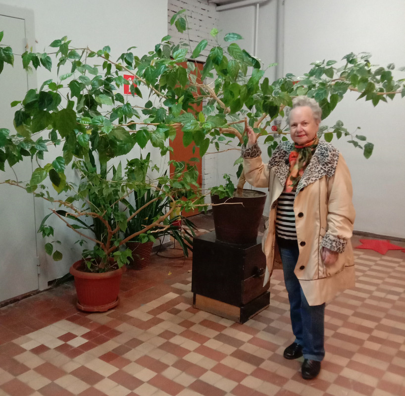 Весенние съёмки